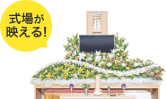式場が映える!