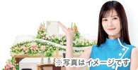 祭壇・女性のイメージ
