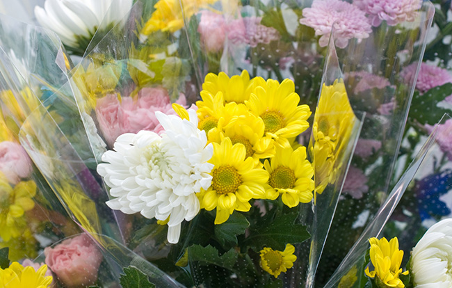 一周忌のお花の選び方 色や種類に決まりはある 定番のお花も紹介 小さなお葬式のコラム
